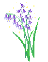 purpleflower animated emote - -`.napatron.´-