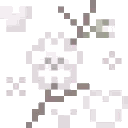 blossom animated Discord emote | ﾉr𝖾𝗏𝖾𝗋𝗌𝖺𝗅 𝗋𝗍𝟧𝟢𝟢 🎃