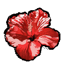 redflower animated GIF emoji from -`.napatron.´-