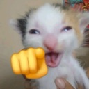 A blurry kitten with a wide-eyed expression and an emoji hand pointing directly forward.