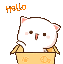 A cute white cat pops in and out of a cardboard box while waving.