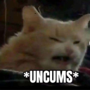 Orange cat squinting with a strained expression and the text *UNCUMS* at the bottom.