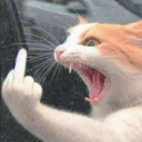 cat_fuck