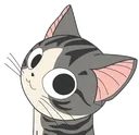 chi_surveille