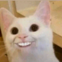 lucas_content