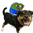 peperidedog