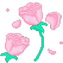 pinkroses