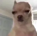 rlly