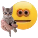 takecat