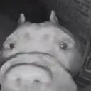 Screenshot20241109125419