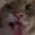 Screenshot20260822020926