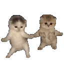 kittydance