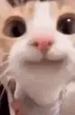 emoji_88