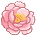 CamelliaFlower