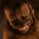 :5122monkey11: