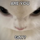 :AreYouGay: