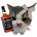 A cute kitten wearing a pink bow licks its lips while holding a bottle of Jack Daniel's whiskey.