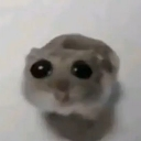 emoji_224 custom emote - #  `  𝗞𝗡𝗗𝗞 𝗙𝗮𝗺𝗶𝗹𝘆