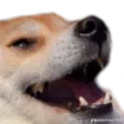 emoji_11 Discord sticker - 𝐑𝐎𝐆𝐔𝐄 𝐙𝐎𝐍𝐄 𝟐