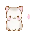002gatitito