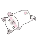 gatititoo