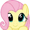 fluttershy