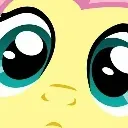 fluttershy