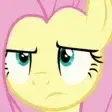 fluttershy