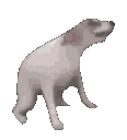 litdog