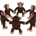 monkeyspin