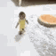 monkeyrun