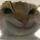 emoji_48 custom emote - 𝖶𝖺𝗋𝖽𝖾𝗇 𝖢𝗈𝗆𝗆𝗎𝗇𝗂𝗍𝗒 🔱