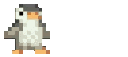 penguin1
