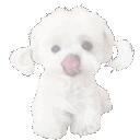 001_pup