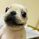 __