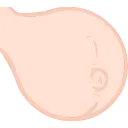 Belly
