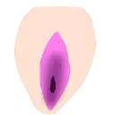 Pussy_Vagina