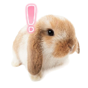 bunnyconfused Discord Emoji from 𝒯𝐻𝐸 𝑀𝒪𝐵