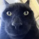 bro