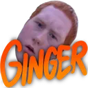 Ginger