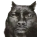 A distorted, dark-toned cat face with human-like features staring with a confused and intense expression.