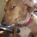 Side_eye