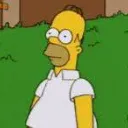Homer