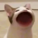 Pop