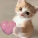 heartcat