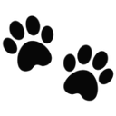 02_bblack custom emote from ｡　/fluffybunnies 　.