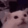 :flashbang: