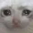 meohuhu