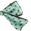 06_bow_r