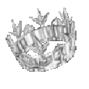 AzunoCrown